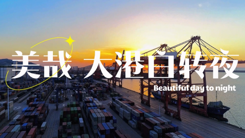 美哉 大港白转夜