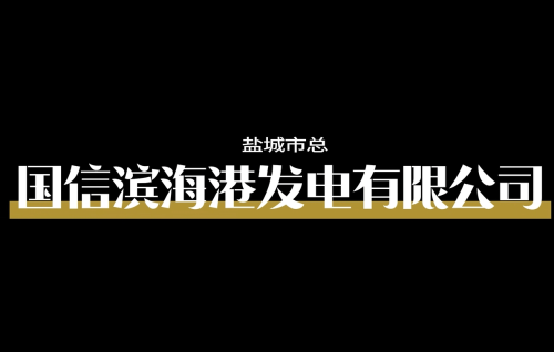 国信滨海港发电有限公司