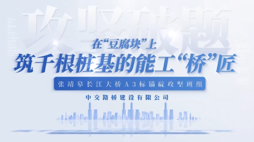 中交路桥建设有限公司——在“豆腐块”上筑千根桩基的能工“桥”匠