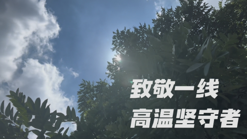 这个夏天,你辛苦了